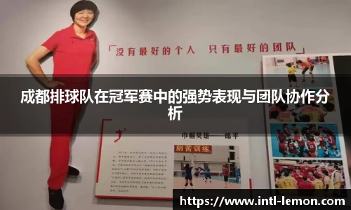 成都排球队在冠军赛中的强势表现与团队协作分析